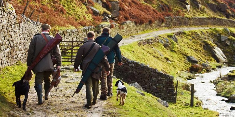 Zakaz polowania na ptaki? Polacy wypowiedzieli się w sondażu