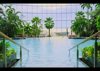 Trwa rekrutacja do największego zadaszonego parku wodnego Europy. Otworzy się w Polsce