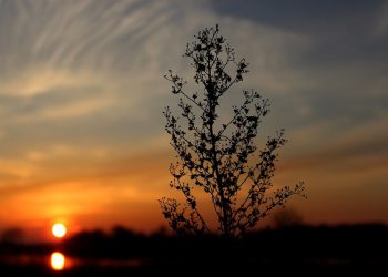 Padł grudniowy rekord temperatury. Może zostać pobity już w piątek!