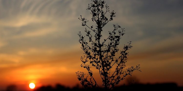 Padł grudniowy rekord temperatury. Może zostać pobity już w piątek!