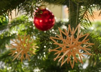 Mikrobiolożka: kompot z suszu to bogactwo witamin, minerałów i błonnika