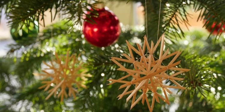 Mikrobiolożka: kompot z suszu to bogactwo witamin, minerałów i błonnika