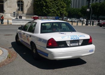 Polska supermodelka zatrzymana w USA!