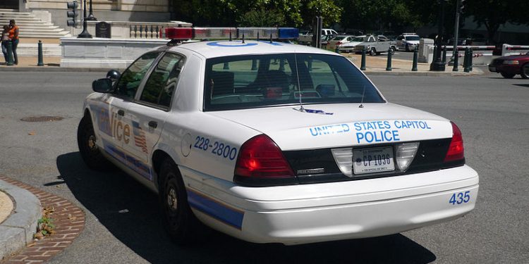 Polska supermodelka zatrzymana w USA!