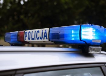 policja
