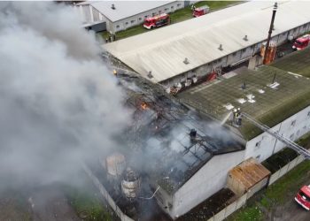 Wielki pożar chlewni. Spłonęły setki zwierząt [WIDEO]