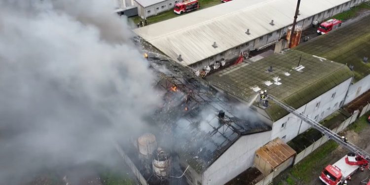Wielki pożar chlewni. Spłonęły setki zwierząt [WIDEO]