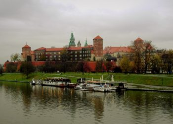 Mikrobiom Zamku Królewskiego na Wawelu zbadany