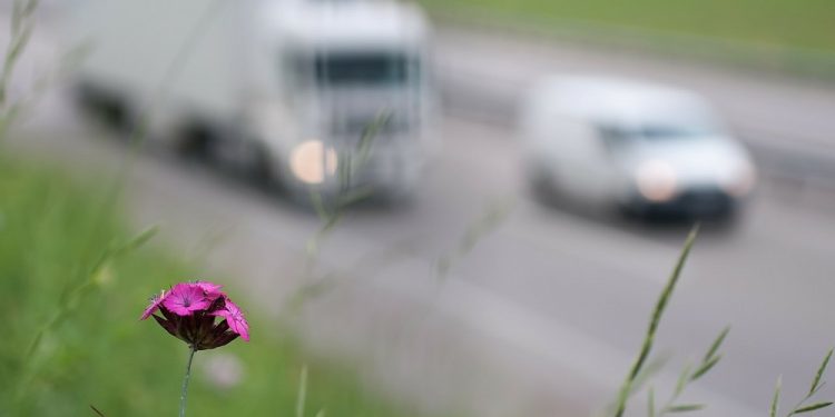 Eksperci: nie znamy ostatecznego wpływu zanieczyszczeń na zdrowie