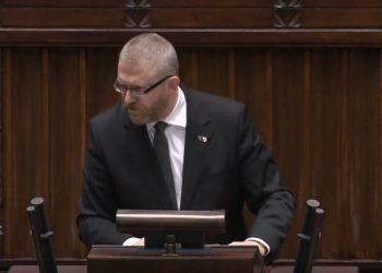 Braun w Sejmie: „Wy chcecie, żeby polskie wojska były siłami okupacyjnymi!” [WIDEO]