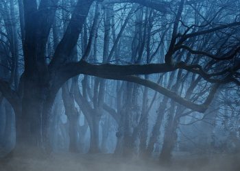 13-latek zmarł po lekcji WF-u. Jest akt oskarżenia