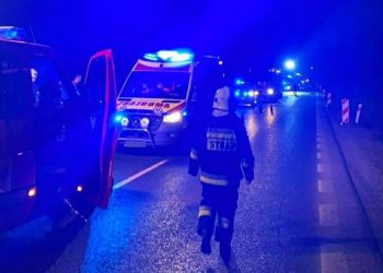 Świętokrzyskie: Kierowca wjechał w stado dzików. Samochód rozbity, wszystkie zwierzęta martwe