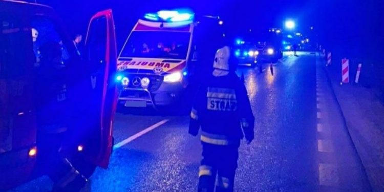 Świętokrzyskie: Kierowca wjechał w stado dzików. Samochód rozbity, wszystkie zwierzęta martwe