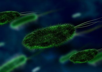 Kiła powraca? W Nowej Szkocji ogłoszono już epidemię!