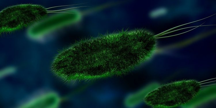 Kiła powraca? W Nowej Szkocji ogłoszono już epidemię!