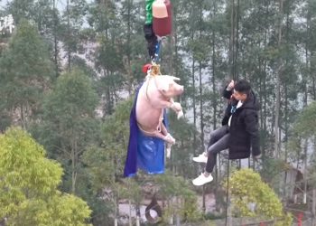 Skandaliczna akcja promocyjna parku rozrywki. Nagranie obiegło świat [WIDEO]