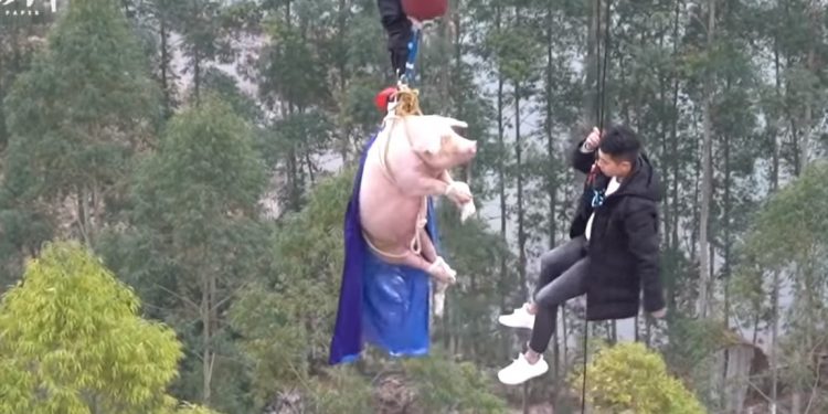 Skandaliczna akcja promocyjna parku rozrywki. Nagranie obiegło świat [WIDEO]