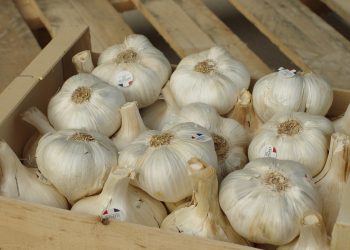 Koronawirus a czosnek. Czy to faktycznie pomaga? WHO odpowiada