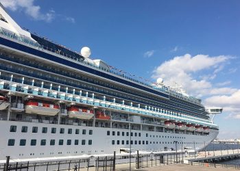 Nie żyje dwoje pasażerów statku Diamond Princess. Przyczyną śmierci był koronawirus