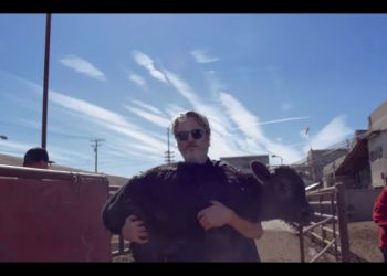 Odebrał Oscara. Następnego dnia uratował z rzeźni krowę i cielę [WIDEO]