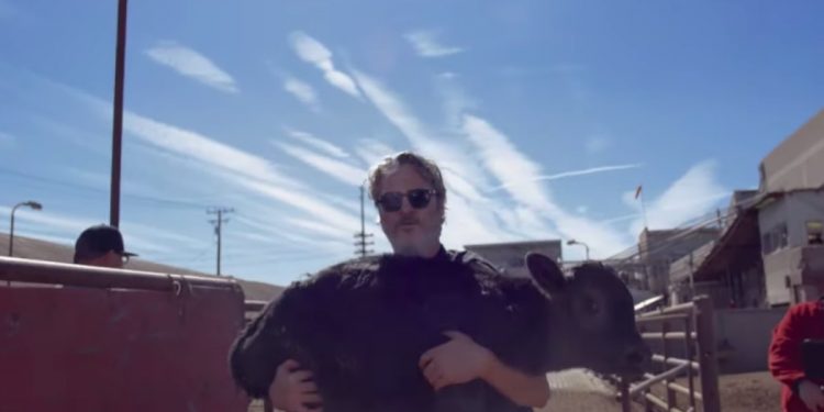 Odebrał Oscara. Następnego dnia uratował z rzeźni krowę i cielę [WIDEO]