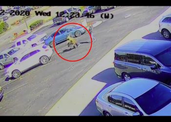 Jeleń „znokautował” mężczyznę pod restauracją McDonald’s. Wszystko nagrały kamery [WIDEO]