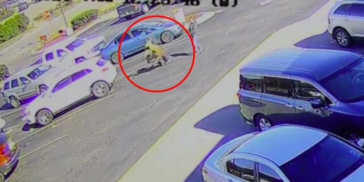 Jeleń „znokautował” mężczyznę pod restauracją McDonald’s. Wszystko nagrały kamery [WIDEO]