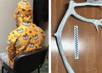 Kraków. Chodził po ulicy w piżamie. Miał marihuanę i… poroże renifera