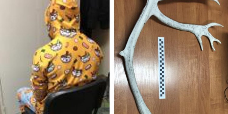 Kraków. Chodził po ulicy w piżamie. Miał marihuanę i… poroże renifera