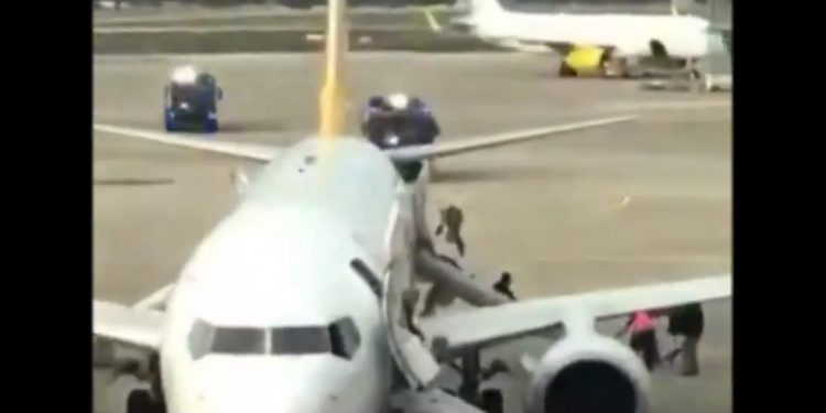 Koło samolotu zaczęło się palić. Konieczna była ewakuacja [WIDEO]