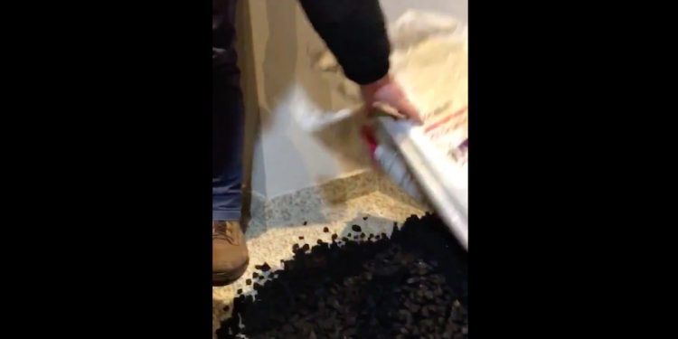 Przed biurem premiera Morawieckiego rozsypano węgiel. Górnicy ostrzegają