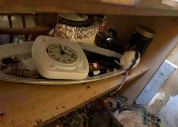 Tarnów. W mieszkaniu hodowała… 130 szczurów. „Straciła kontrolę nad hodowlą”