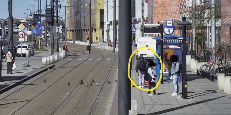 Kraków. Zabił gołębia gołymi rękami. Nagrał to monitoring