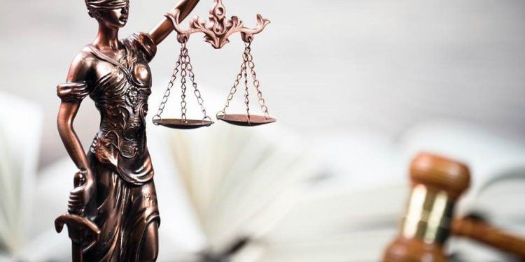 Przybywa adwokatów, radców prawnych i doradców podatkowych. Eksperci: To nie jest dobra wiadomość