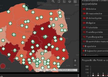 mapa koronawirusa