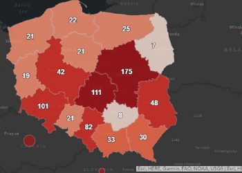 mapa koronawirusa w Polsce
