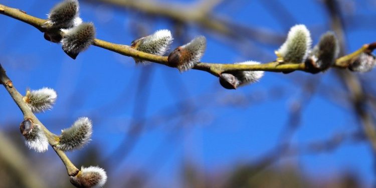 To koniec meteorologicznej zimy. Najcieplejszej i najmniej śnieżnej w historii
