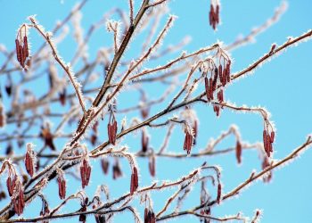 Przed nami załamanie pogody. Będą przymrozki, możliwy śnieg