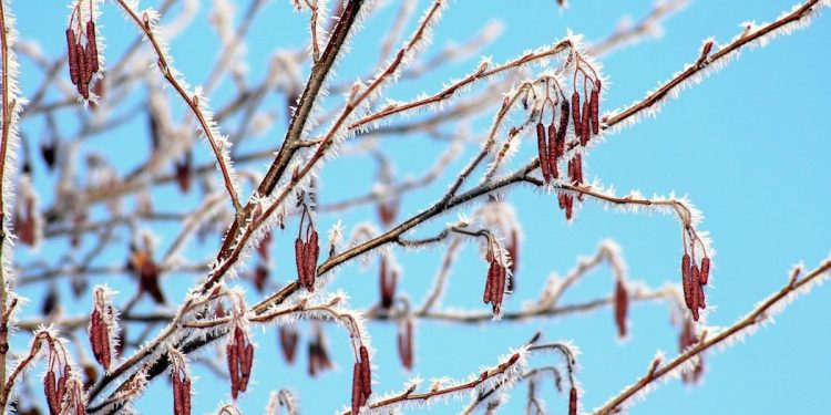 Przed nami załamanie pogody. Będą przymrozki, możliwy śnieg