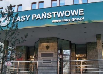 1280px-Lasy_państwowe_z_bliska