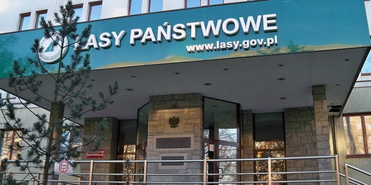 1280px-Lasy_państwowe_z_bliska