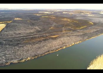 „Biebrza w żałobie”. Do sieci trafiło nagranie ukazujące skalę tragedii w Biebrzańskim Parku Narodowym [WIDEO]