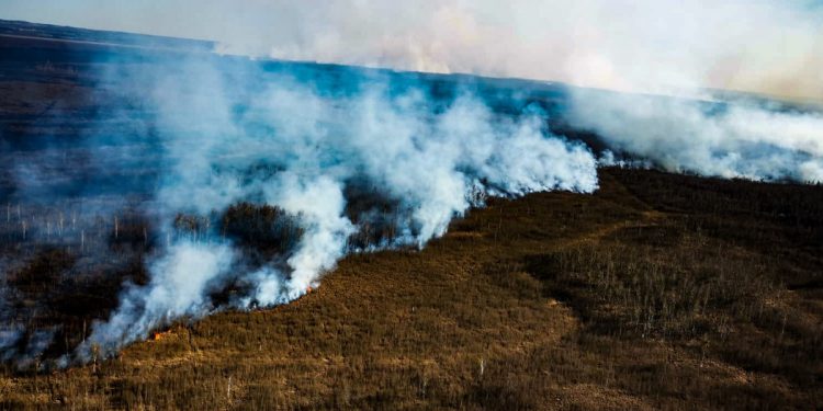 Biebrzański Park Narodowy nadal płonie. Zdjęcia i nagrania ukazują skalę [WIDEO]