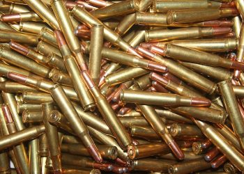 Kobieta uprawiała ogródek. Znalazła ponad 500 sztuk amunicji