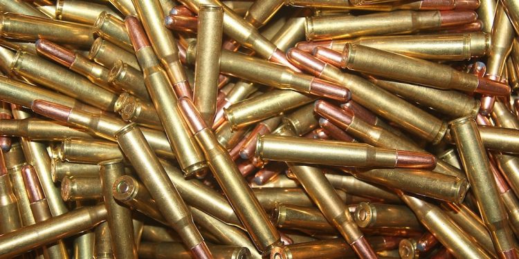 Kobieta uprawiała ogródek. Znalazła ponad 500 sztuk amunicji