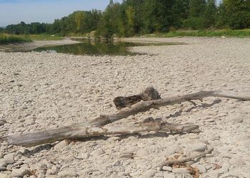 Ardanowski: „Wody może zabraknąć do potrzeb komunalnych, do jedzenia”