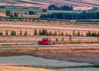 susza pole rolnictwo