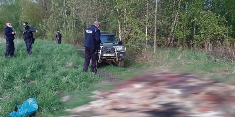Makabryczne znalezisko w lesie. Ok 2 ton martwych zwierząt