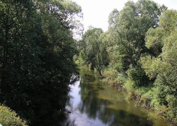 Psy wskazały nowy trop. Będzie przełom w poszukiwaniach 3,5-letniego Kacperka?