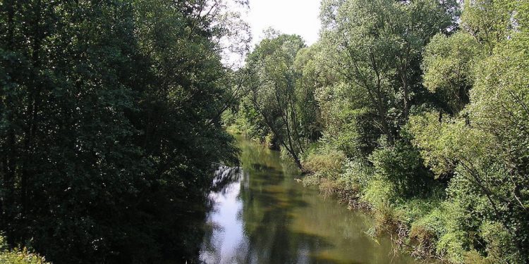 Psy wskazały nowy trop. Będzie przełom w poszukiwaniach 3,5-letniego Kacperka?